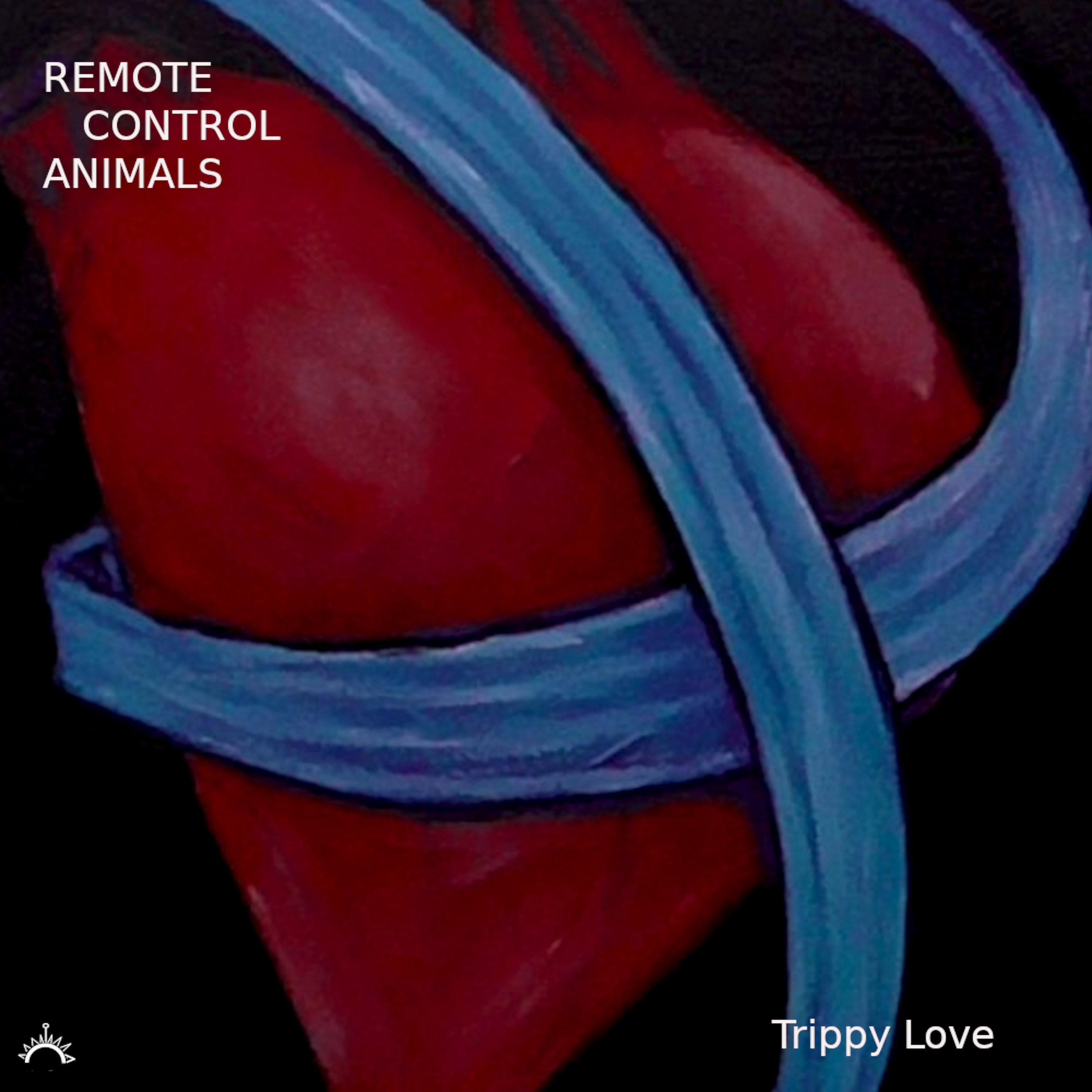 Trippy Love封面