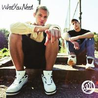 What You Need EP