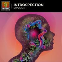 Introspection (Radio Edit)