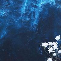 少女的叹息·纯音乐