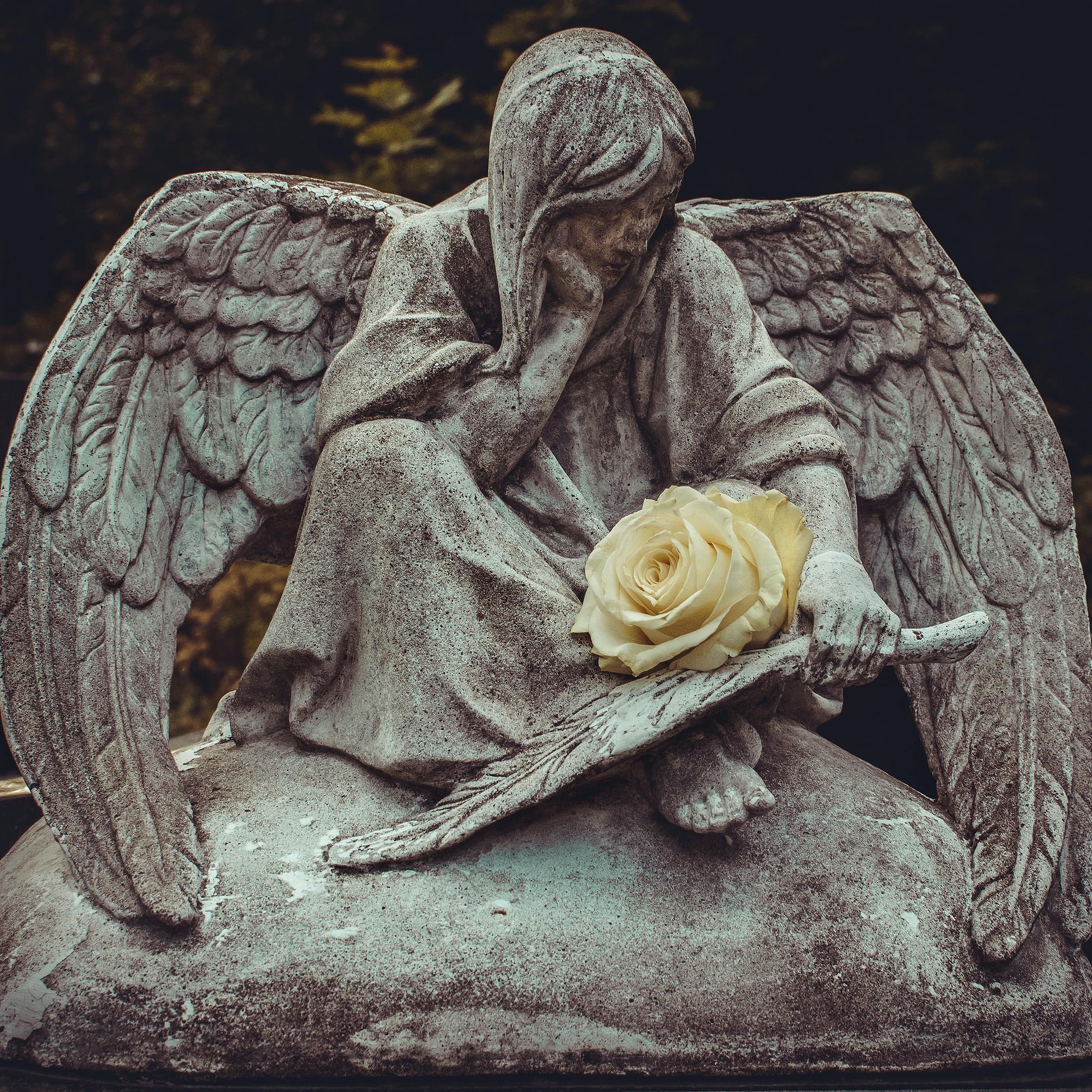 阿玛丽莉-Amarilli（翻自 Sonia Theodoridou）