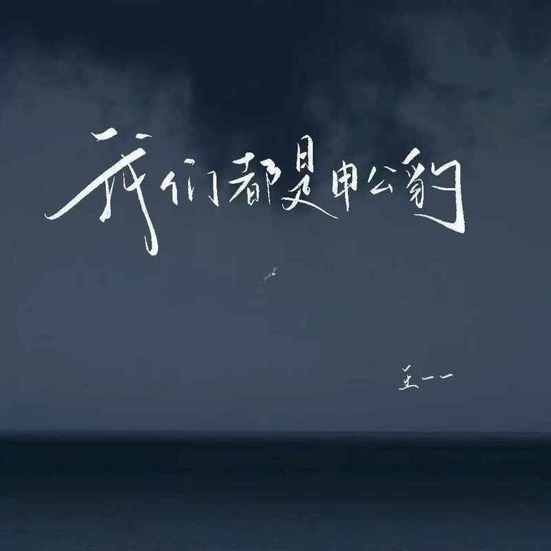 我们都是申公豹封面