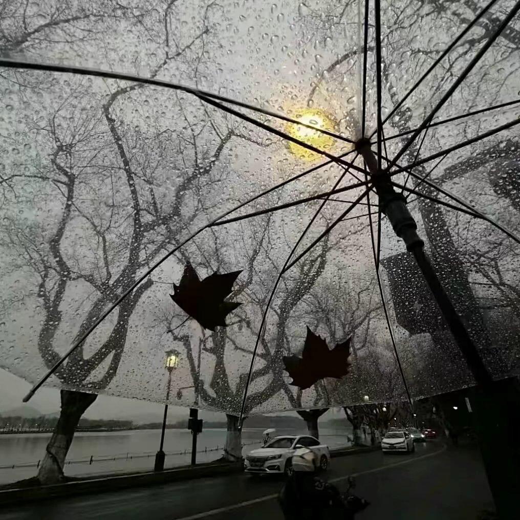 忧郁雨季｜ 小众灵魂 情绪