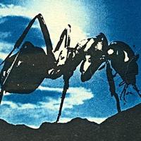 Black Ant资料,Black Ant最新歌曲,Black AntMV视频,Black Ant音乐专辑,Black Ant好听的歌