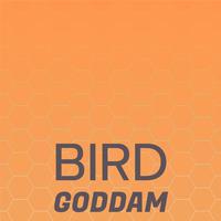 Bird Goddam