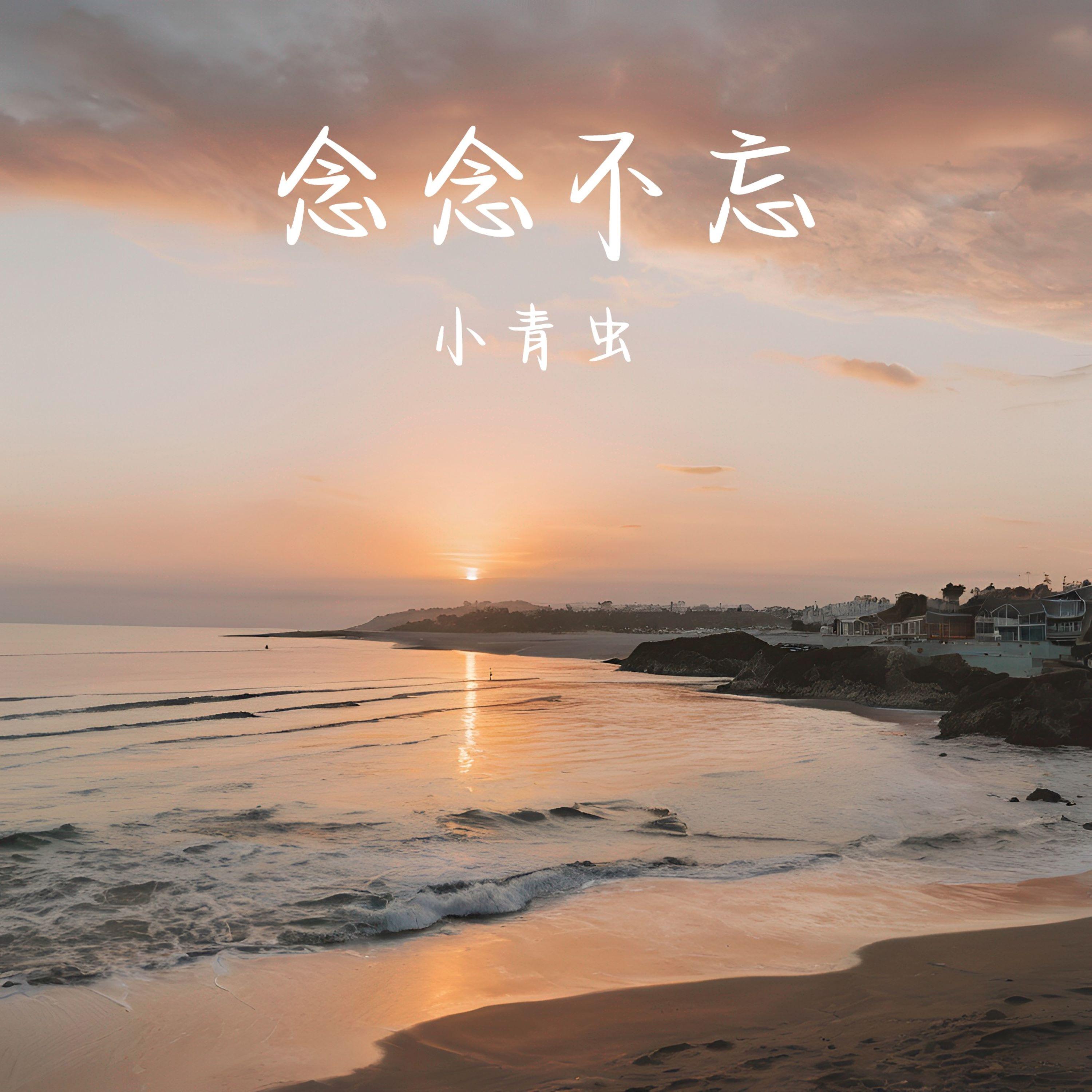 念念不忘 - 小青虫封面