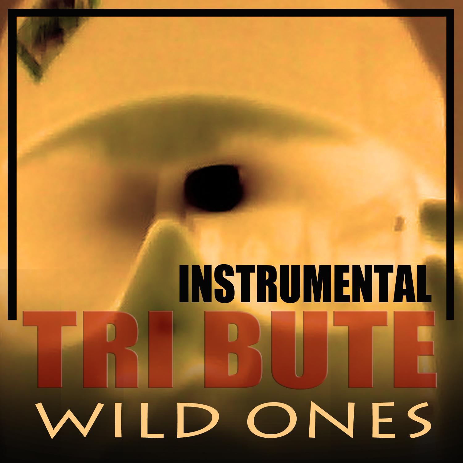 Wild Ones (Flo Rida feat. Sia Instrumental Tribute)
