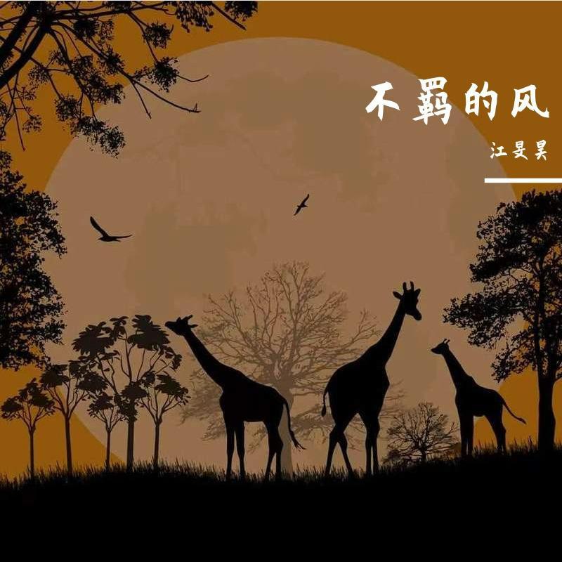 不羁的风（翻自 张国荣）封面