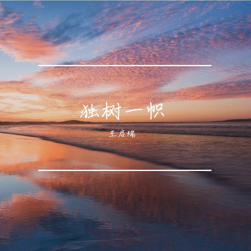 风停夏末封面