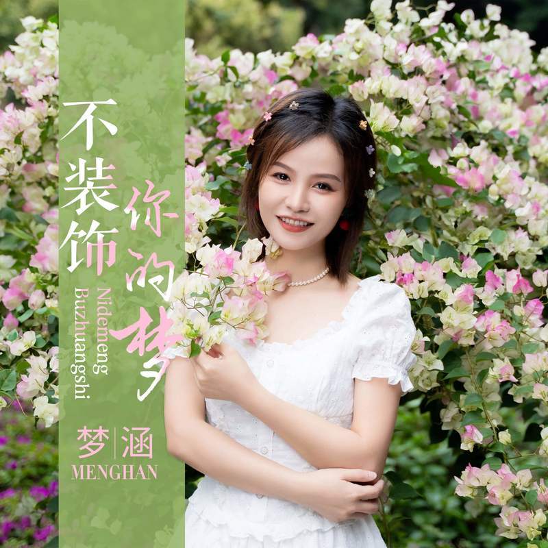 不装饰你的梦封面