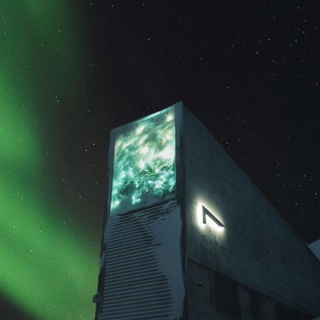 【小众私藏】帅就完事了