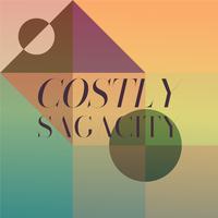 Costly Sagacity