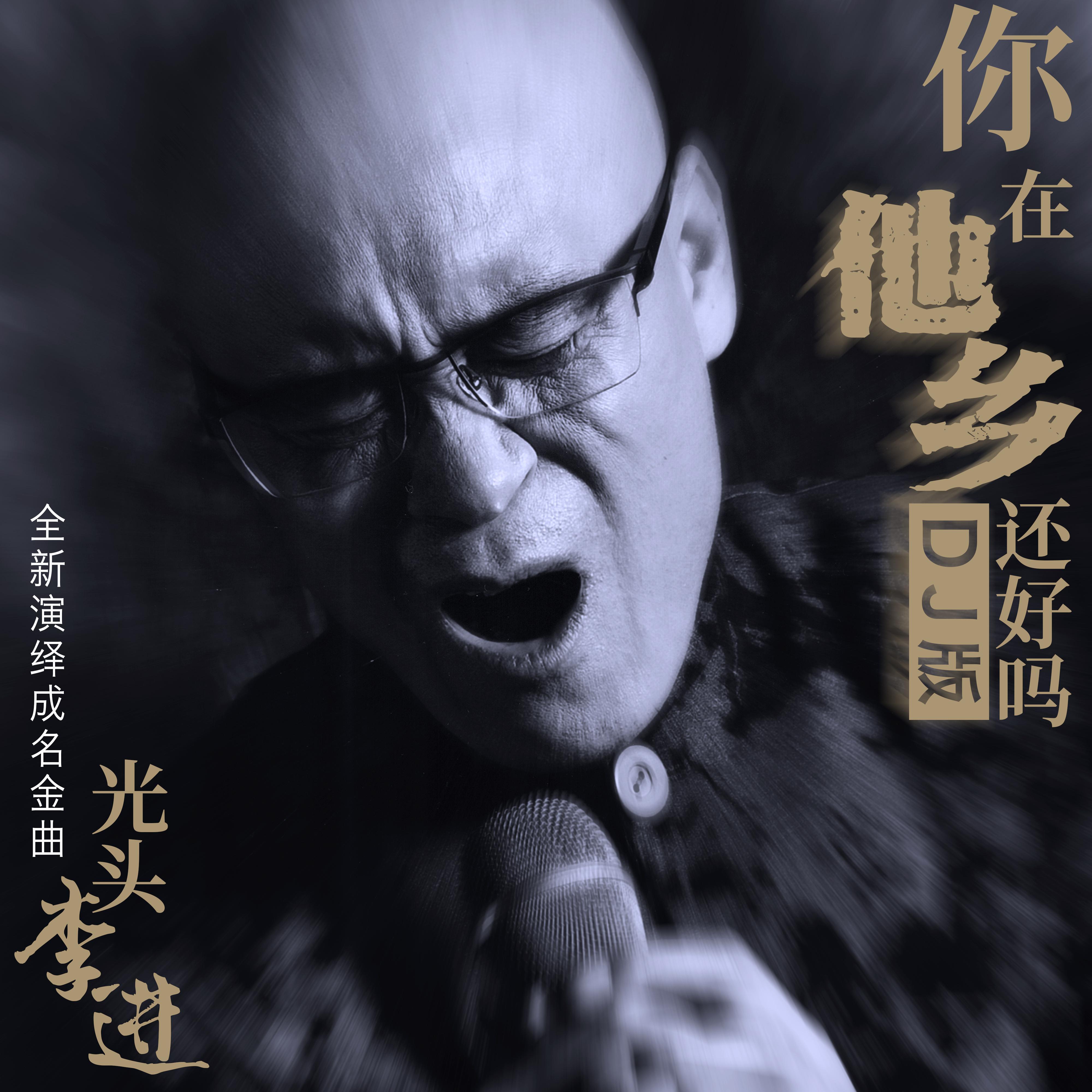 你在他乡还好吗 (DJ版)封面