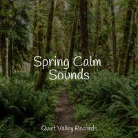 Spring Calm Sounds For Dogs