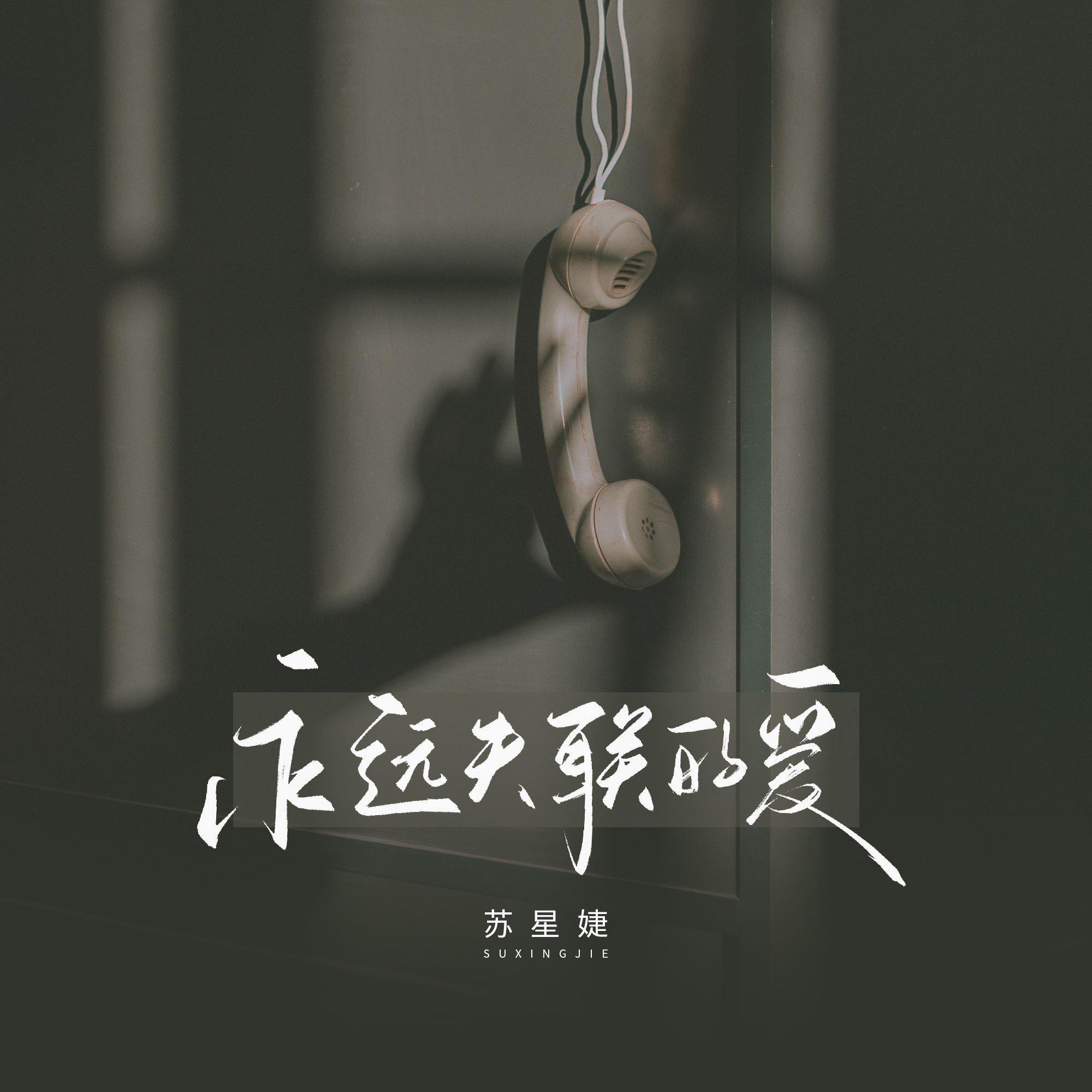 永远失联的爱封面
