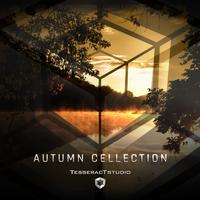 Autumn Cellection