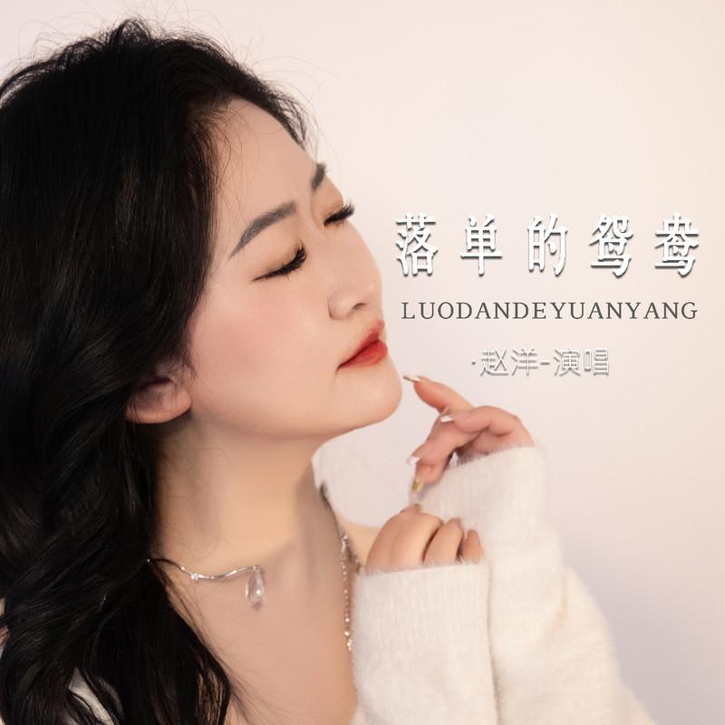 落单的鸳鸯 (网友改编) - 赵洋封面