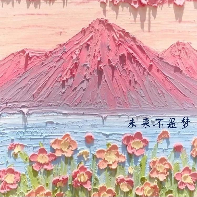 随梦而飞封面