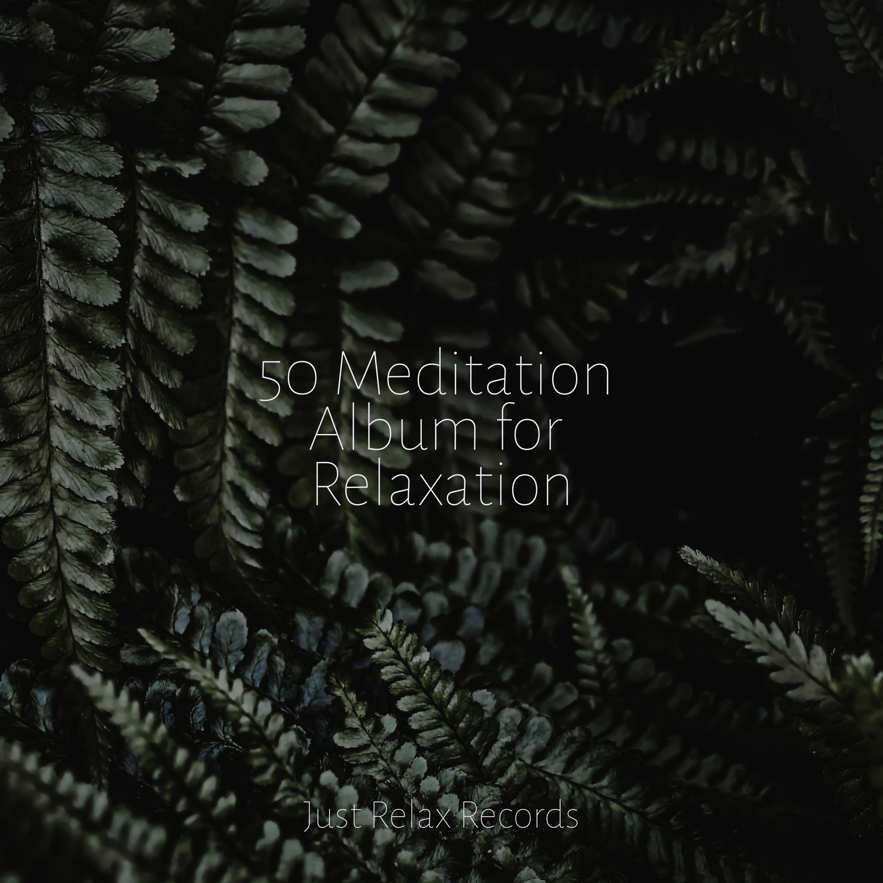 Flower's Lullaby Música Relajante para Bebés/Soothing Sounds/Nursery