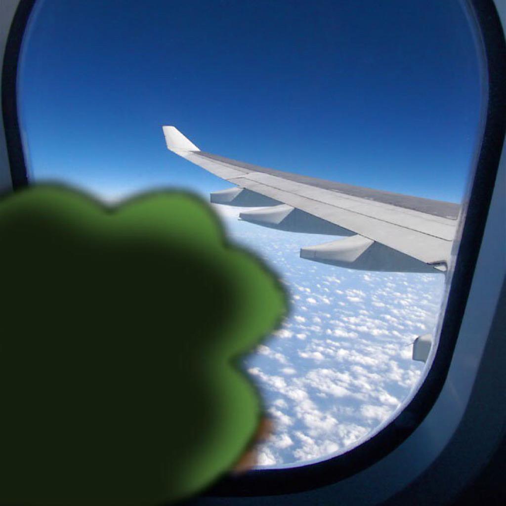 莫斯科郊外遛狗2026