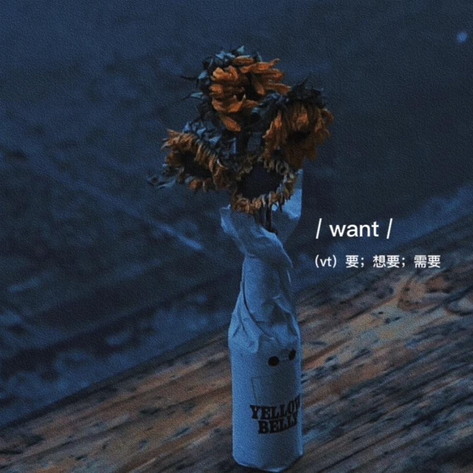 只是不爱了封面