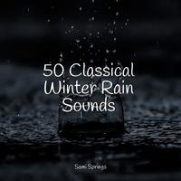 50 Classical Winter Rain Sounds