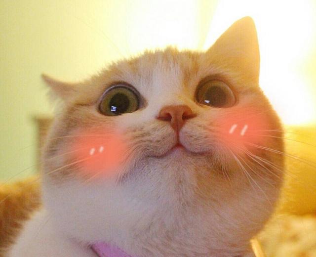 汉南蛮久