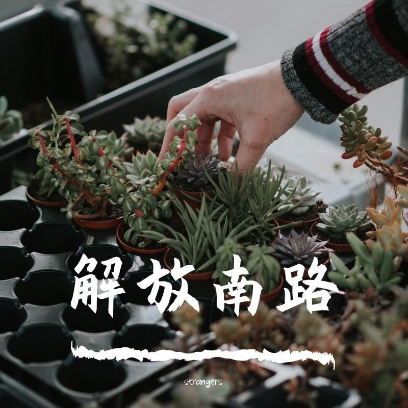 她的他NEW封面