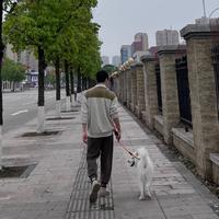 鹿与少年