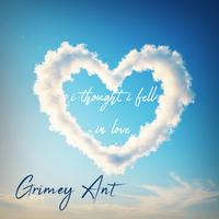 I Thought i Fell In Love