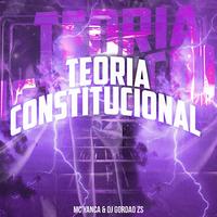 Teoria Constitucional