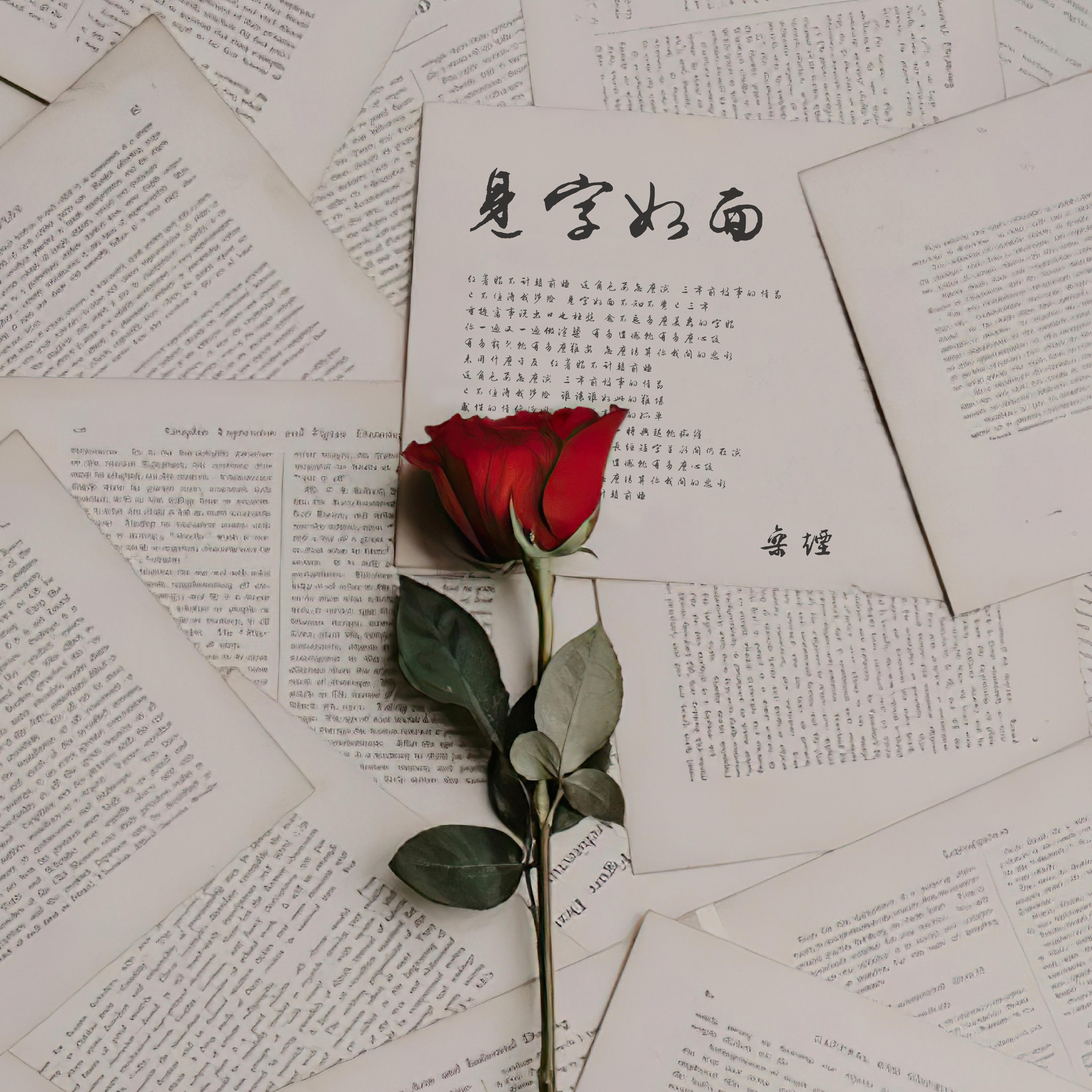 见字如面 (伴奏)封面