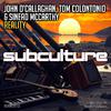 John O'Callaghan - Reality (Extended Mix)