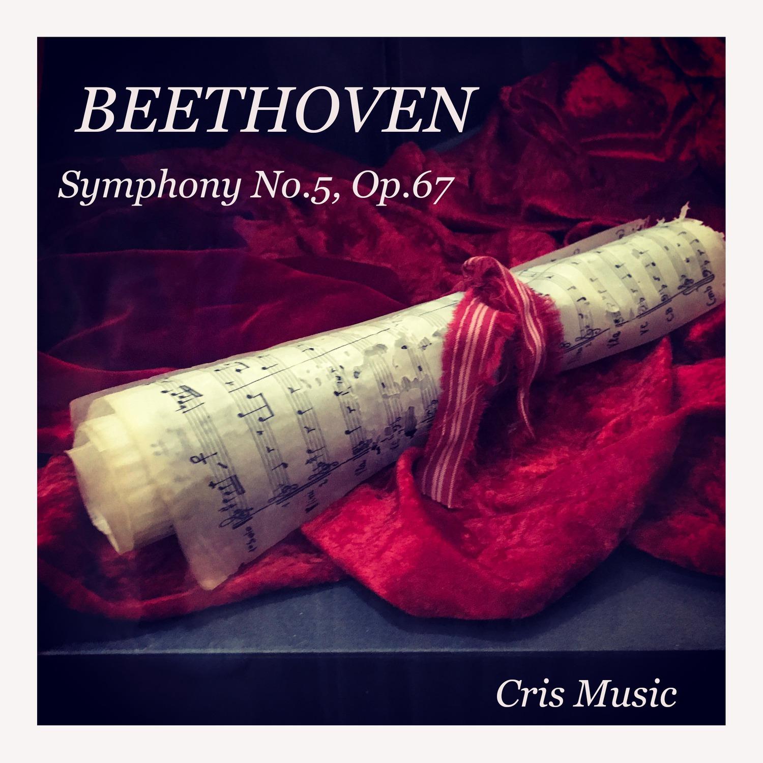 Symphony No.5, Op.67: 1. Allegro con brio