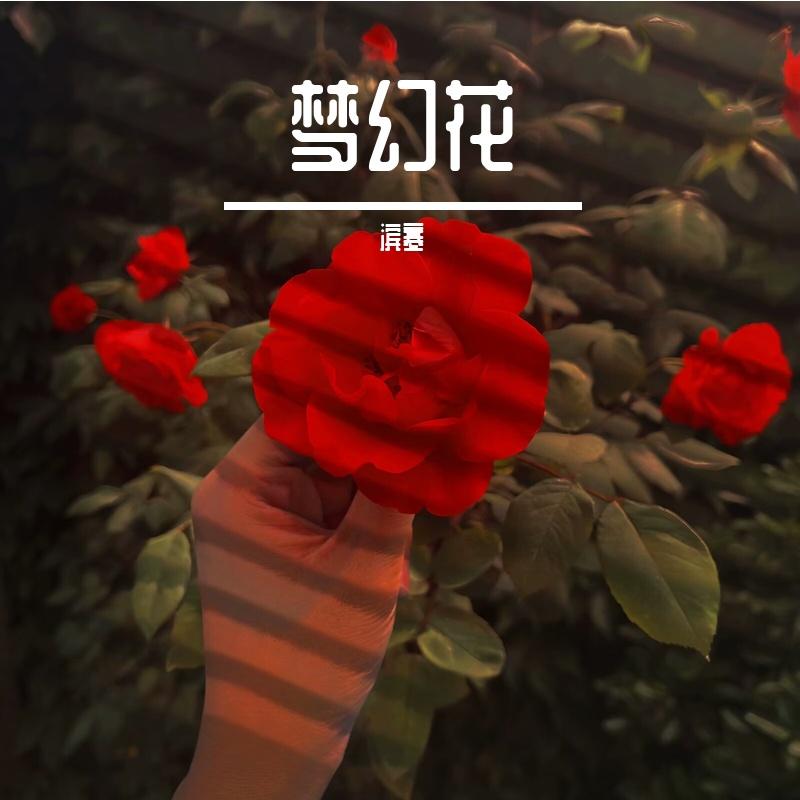 梦幻花封面