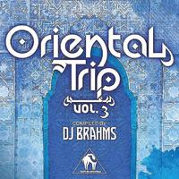 Oriental Trip, Vol. 3 (Compiled by DJ Brahms)