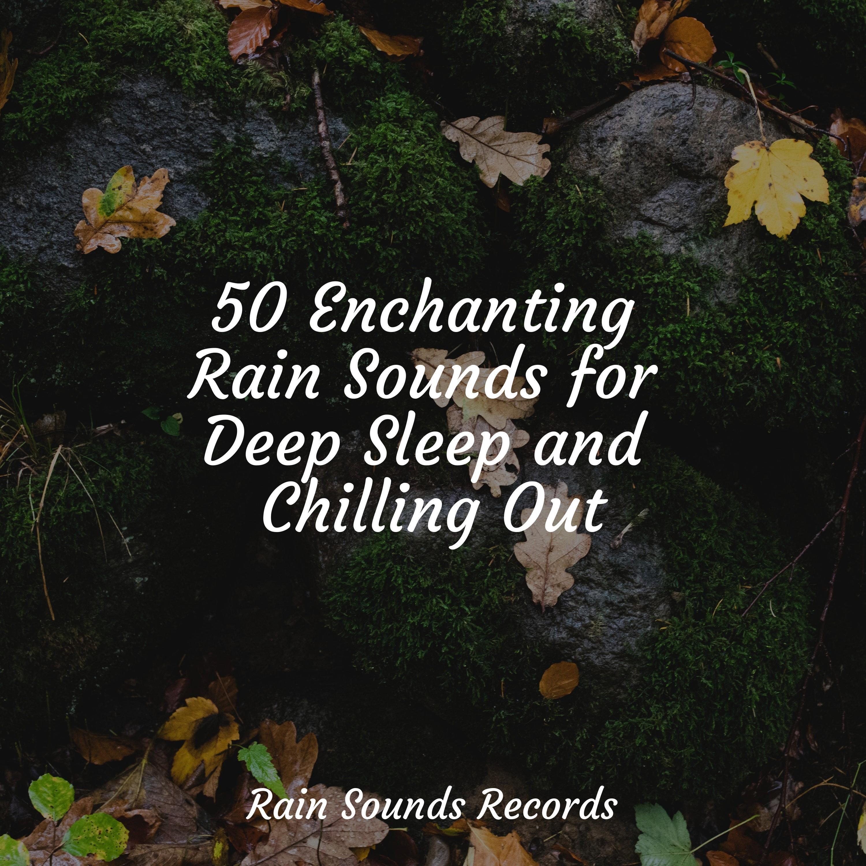 50 Enchanting Rain Sounds for Deep Sleep and Chilling Out - Deep Sleep ...
