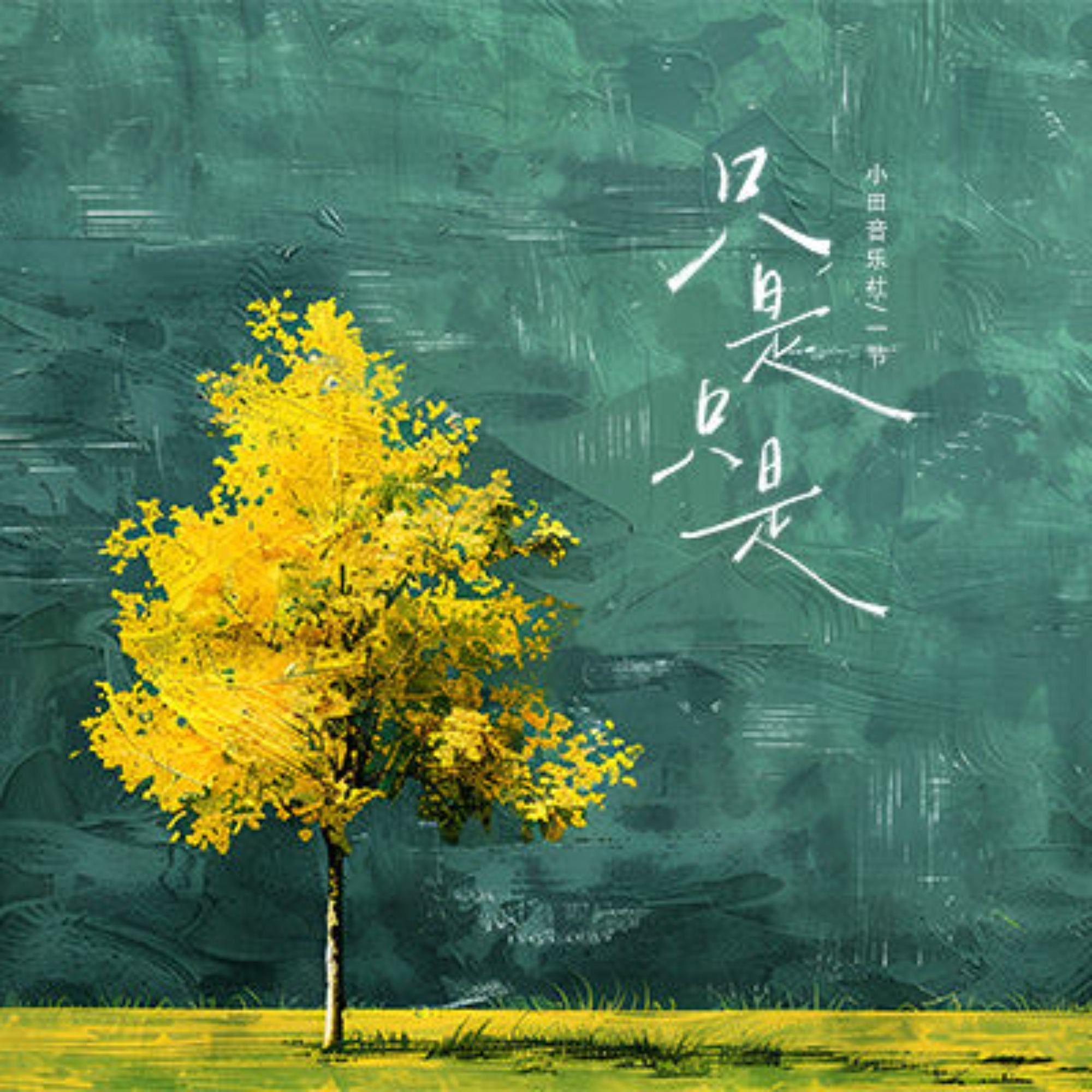 只是只是封面