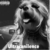 Ultracanilence