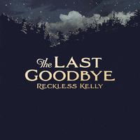 The Last Goodbye - Single