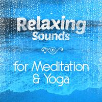 Relaxing Sounds for Mediation & Yoga