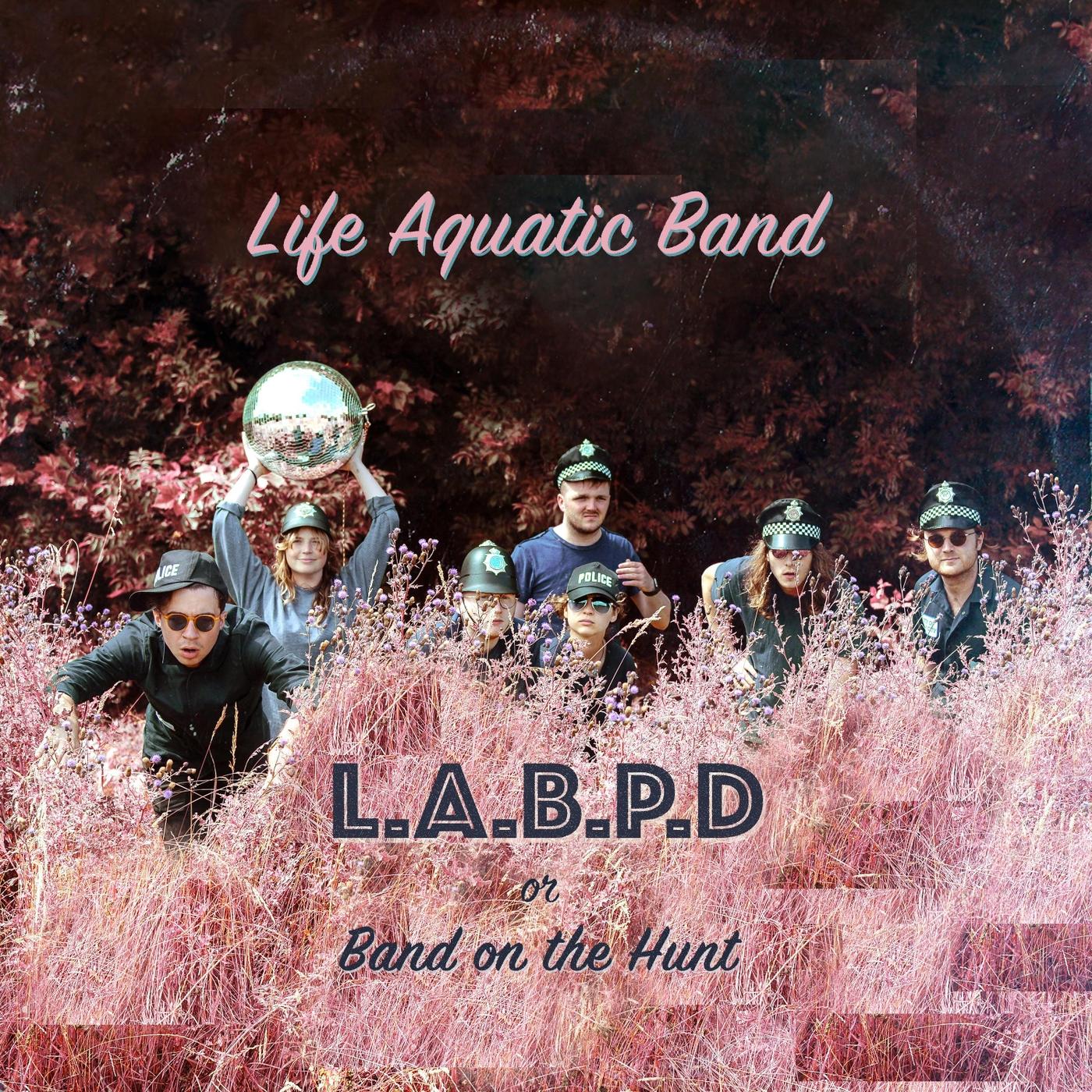 A Pop Song - Life Aquatic Band封面
