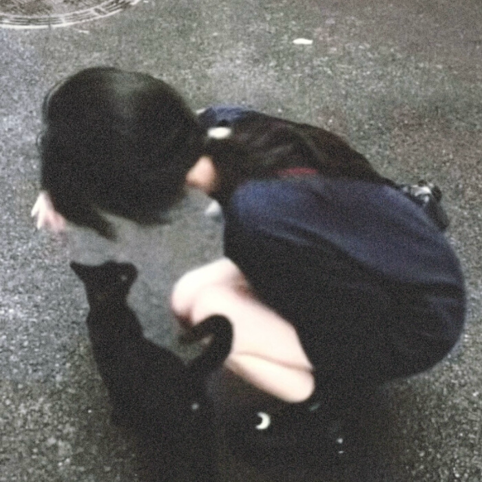 读心术 - bdd封面