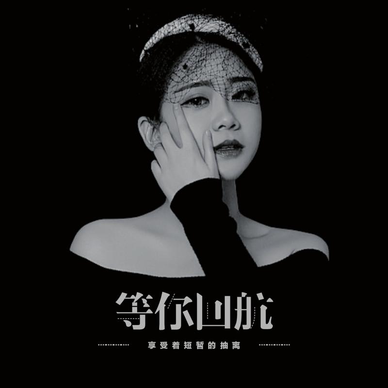 等你归航封面