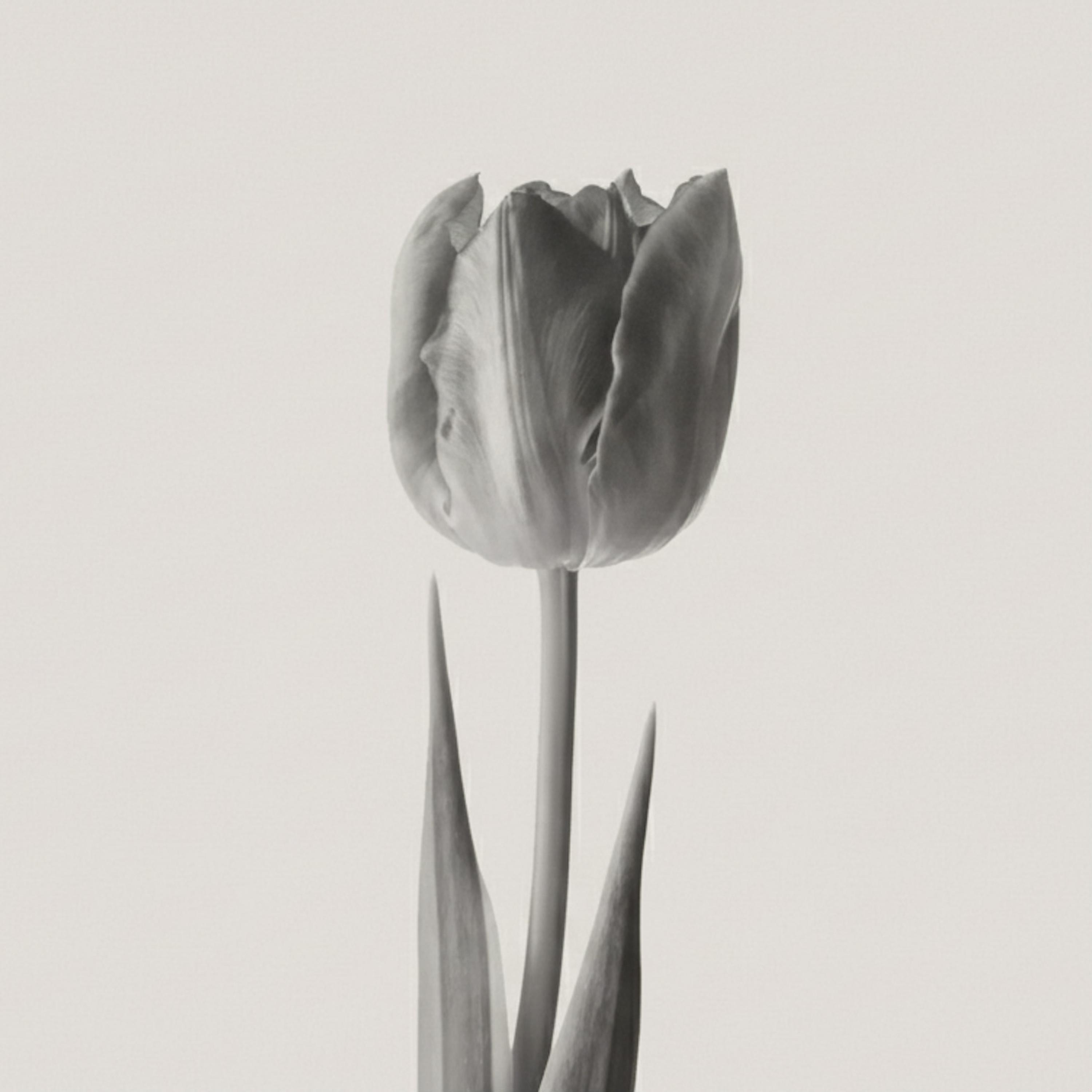 Nakazakicho Hidden Alleys