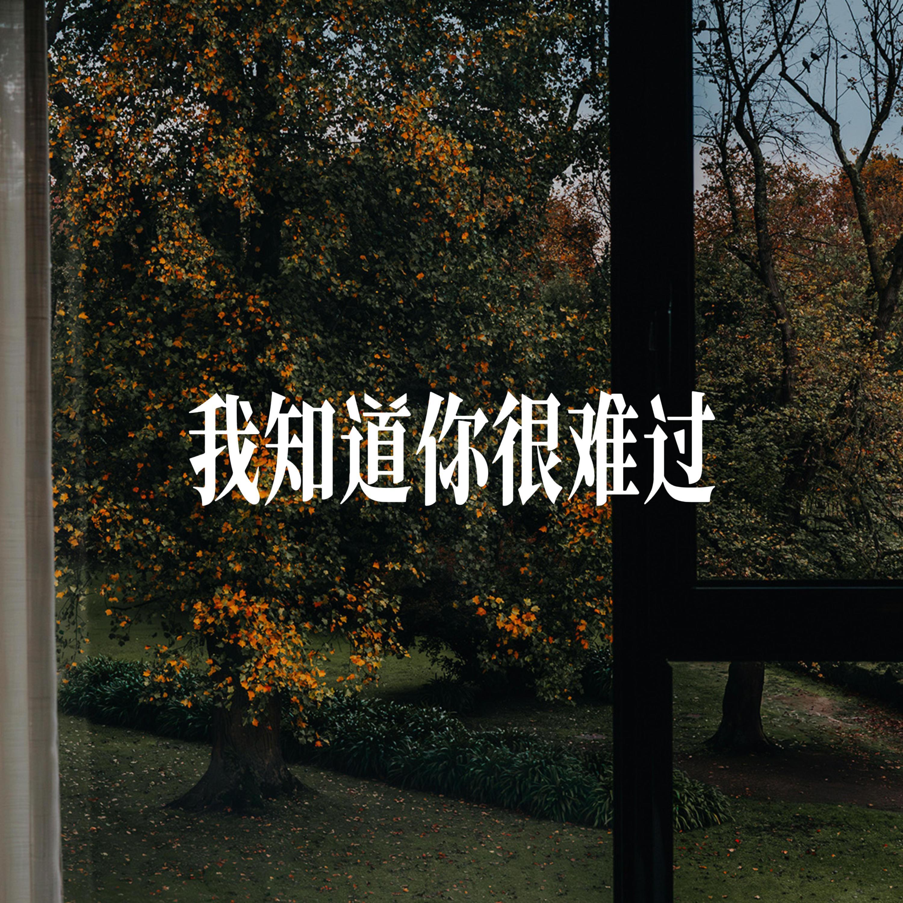 我知道你很难过 - R&B男声封面