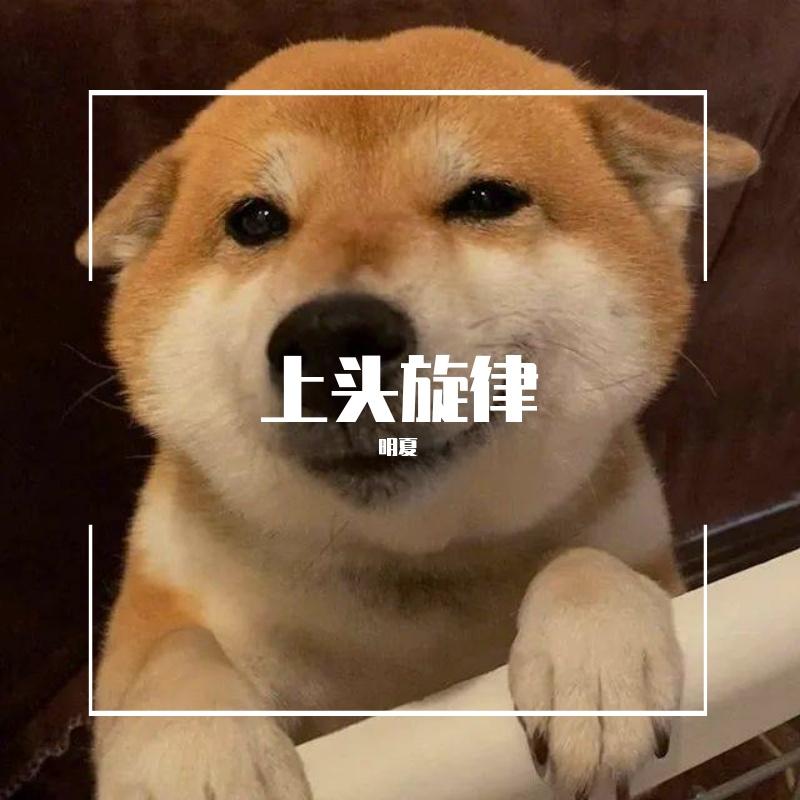 车载旋律封面