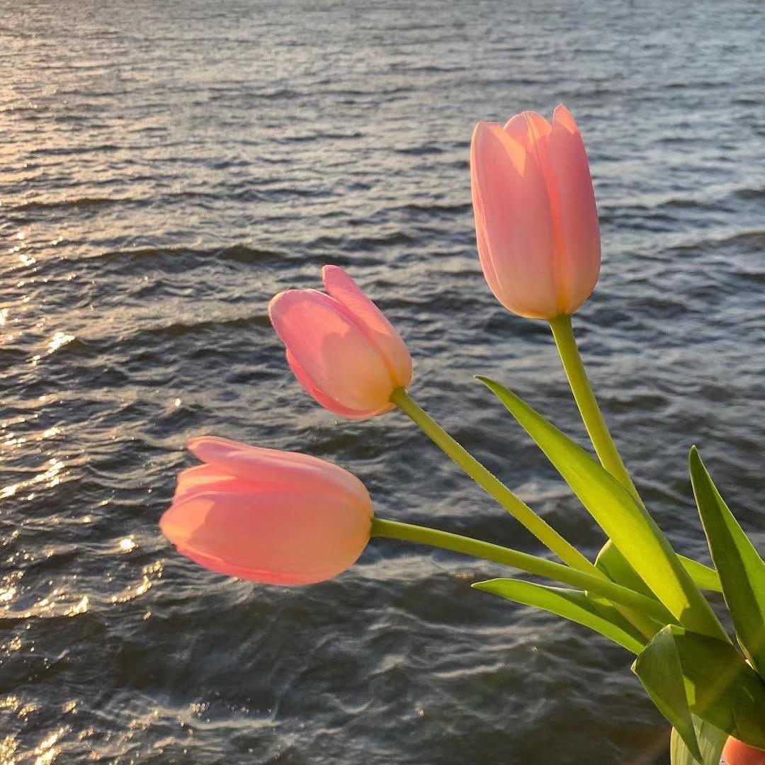 Малыш (Original Mix）