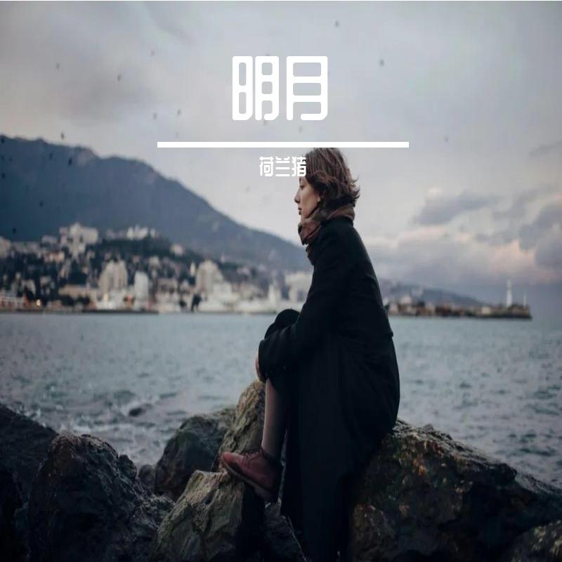 江湖儿女情封面