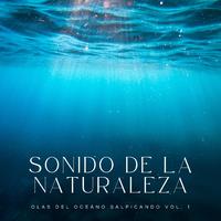 Sonido De La Naturaleza: Olas Del Oceáno Salpicando Vol. 1